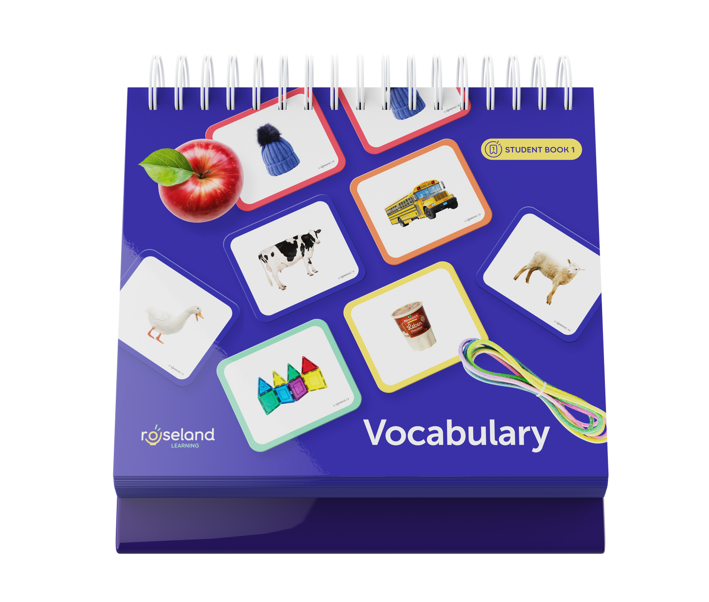 Teacher Flip Books Bilingual Set Bundle 1